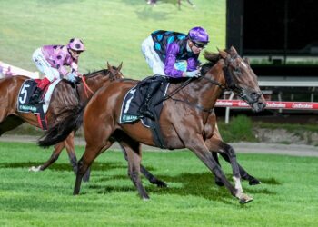 $2500 buy delivers dream stakes win