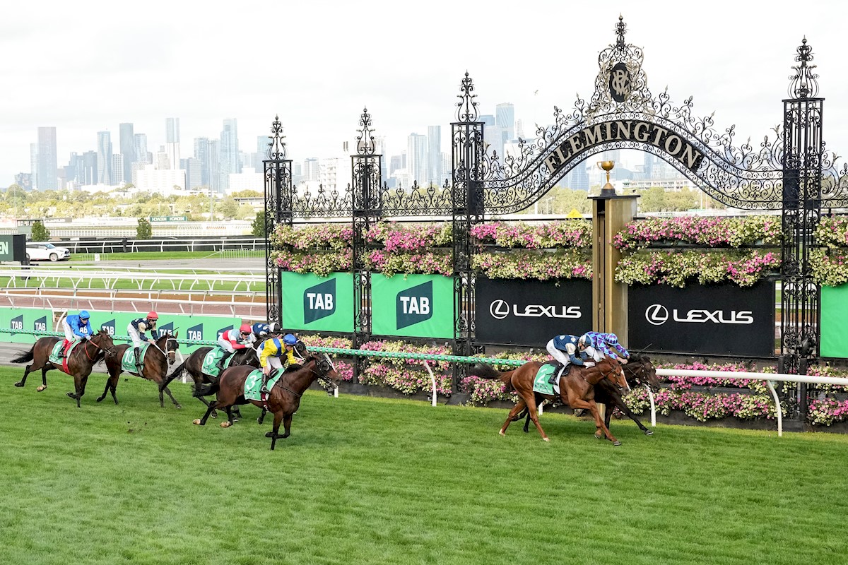 Pike hit with ban after Australian Cup ride