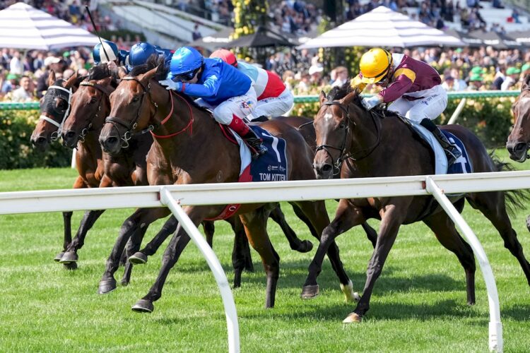 Tom Kitten ridden by Craig Williams wins the The All-Star Mile at Flemington Racecourse on March 07, 2026 in Flemington, Australia. (Photo by George Sal/Racing Photos)