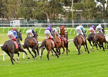 A generic image of a race (John Donegan/Racing Photos)