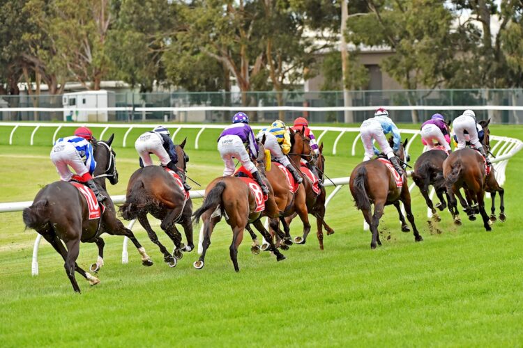 A generic image of a race (John Donegan/Racing Photos)