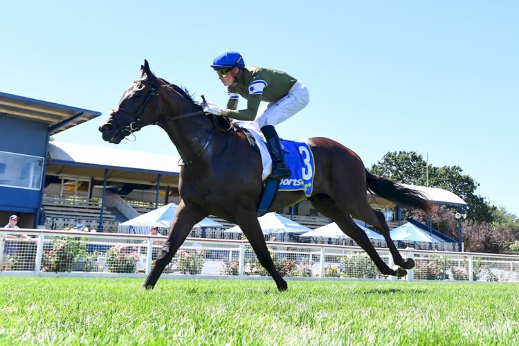 The colours won on Harry Met Sally ridden by Lachlan Neindorf wins the Global Turf Maiden Plate at Sportsbet-Ballarat Racecourse on March 10, 2026 in Ballarat, Australia. (Photo by Pat Scala/Racing Photos)