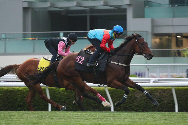 Ka Ying Rising works under Zac Purton. [HKJC]
