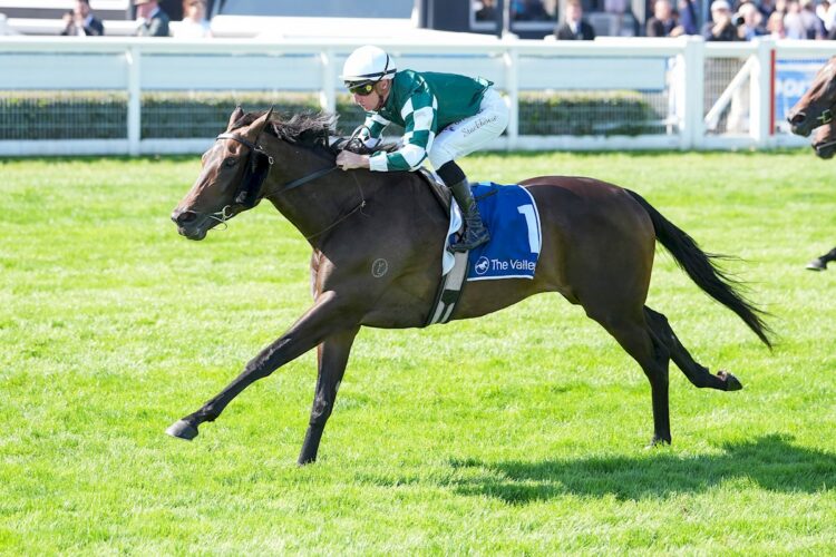 Treasurethe Moment ridden by Daniel Stackhouse wins the Sunline Stakes at Caulfield Racecourse on March 21, 2026 in Caulfield, Australia. (Photo by Scott Barbour/Racing Photos)
