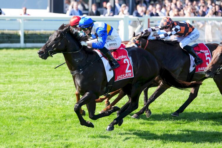 Jigsaw ridden by Logan Bates wins the William Reid Stakes at Caulfield Racecourse on March 21, 2026 in Caulfield, Australia. (Photo by Scott Barbour/Racing Photos)