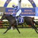Pride Of Jenni dodges Queen Elizabeth Stakes, targets Queen Of The Turf