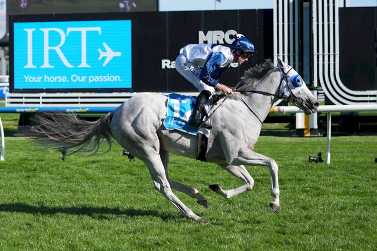 Salty Pearl ridden by John Allen wins the The IRT VOBIS Platinum Guineas at Caulfield Racecourse on March 14, 2026 in Caulfield, Australia. (Photo by Scott Barbour/Racing Photos)