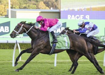 Dean Watling’s trial review: Smart 2YOs and returning stars stand out