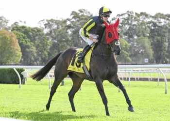 Seven starts, no win – but could she be the best maiden in Australia?