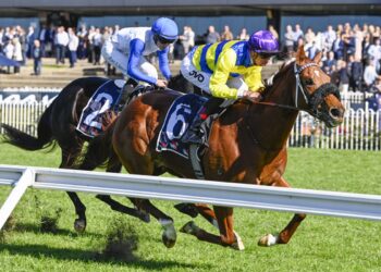 53 Years and counting: Murray’s Wagga love affair rolls on with Harry’s Bar