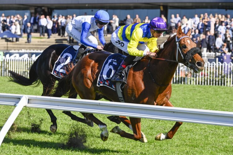 Harry’s Bar [Bradley Photos]