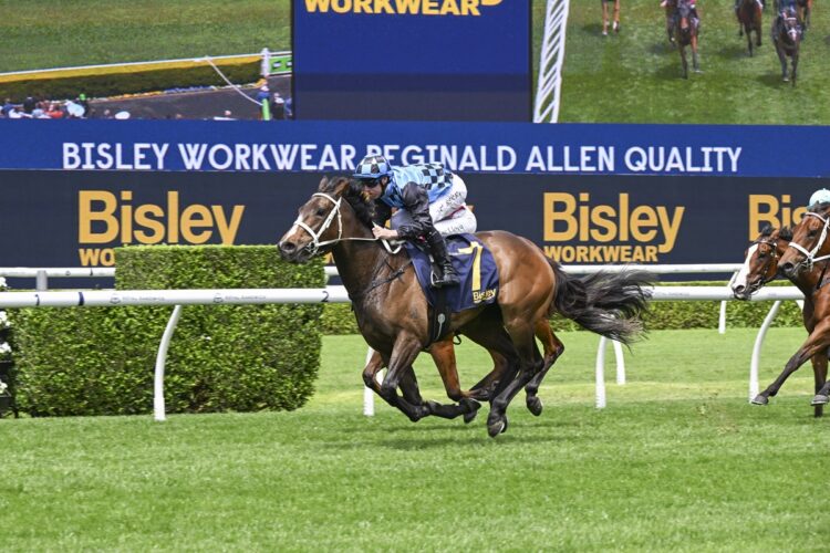 Panova [Bradley Photos]