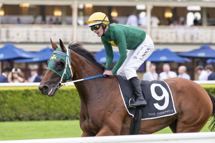 Sheze Alibi in the Randwick Guineas (Credit: Bradley Photos)