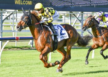 Messara tests Autumn King: Queensland test looms