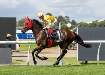 Williams confident Sir Delius is peaking for Queen Elizabeth test