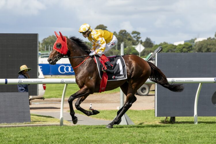 Can Sir Delius knock off the hot-pot in the Queen Elizabeth? (Credit: Bradley Photos)