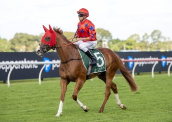 Mitch Lewis’ SA Derby preview: A runner-by-runner look at the Group 1 feature