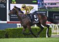 Big Price, big promise: Tenenbaum set for Hawkesbury test