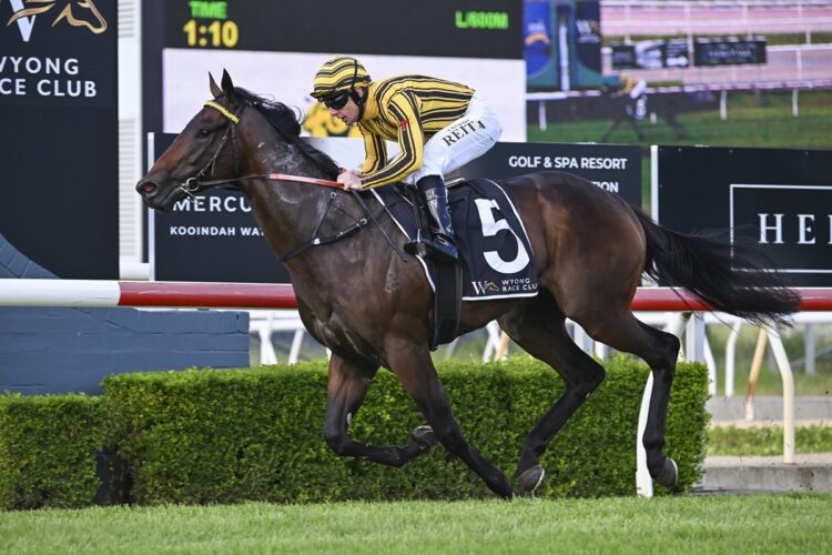 Tenenbaum [Bradley Photos]