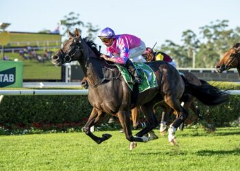 $550K flop to comeback star: Call Me Gorgeous chasing stakes glory after Hong Kong bust