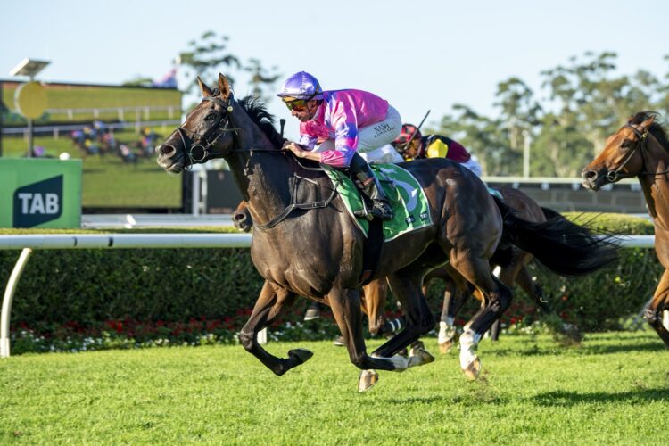 Call Me Gorgeous [Bradley Photos]