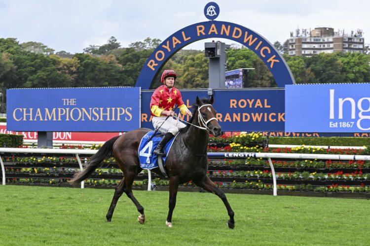 Campione D'italia has drawn ideally as he looks to make it back-to-back Group 1 wins (Credit: Bradley Photos)