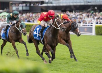 Inside the Inglis Sires’: What the beaten jockeys had to say