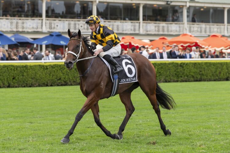 Jolistar after winning Saturday's TJ Smith Stakes (Photo: Bradley Photos)
