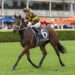 Joliestar arrives: TJ Smith domination seals sprinting crown, Ascot next