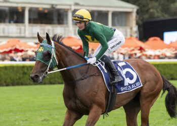 Sheza Alibi simply breathtaking in Doncaster demolition… but any chance she backs up?