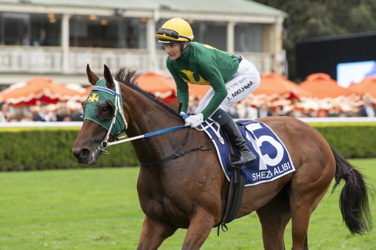 Sheza Alibi was totally dominant in the Doncaster (Image: Bradley Photos)