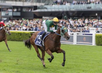 “She just sailed away” beaten jockeys react to Sheza Alibi’s Doncaster demolition