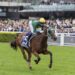 “She just sailed away” beaten jockeys react to Sheza Alibi’s Doncaster demolition