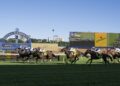 60/1 boilover: Sydney Cup turns into war of attrition as beaten jockeys explain what went wrong