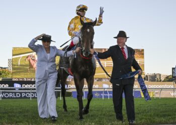 Craig Williams returning to scale on Sir Delius (Credit: Bradley Photos)