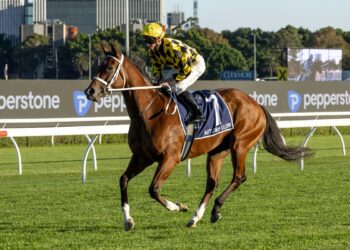 Autumn Glow going to the barriers for the Queen Elizabeth (Credit: Bradley Photos)