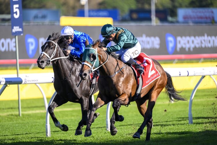 Fireball wins the Champagne Stakes [Bradley Photos]