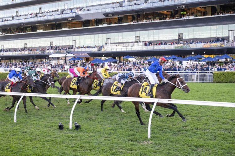 Beiwacht wins the All Aged Stakes [Bradley Photos]