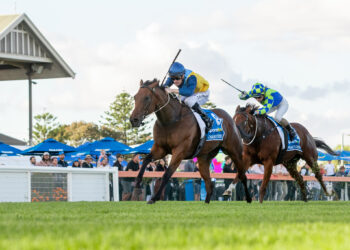 Charm Stone is chasing back-to-back wins in the Sangster