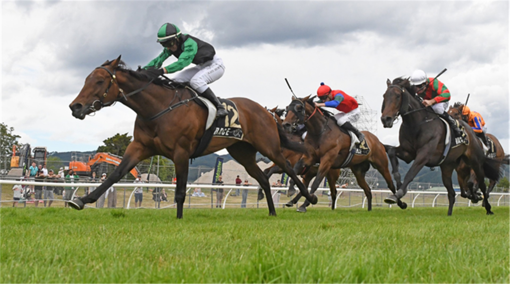 NZ Trial Watcher: Key performers from Foxton and Cambridge trials