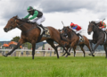 NZ Trial Watcher: Key performers from Foxton and Cambridge trials