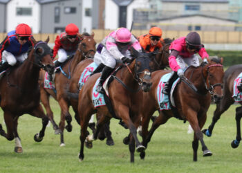 Girl Talk earns black-type shot after Wanganui breakthrough, targets Manawatu Breeders’ Stakes