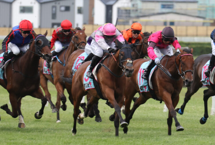 Girl Talk will contest the Gr.3 Windsor Park Stud Manawatu Breeders’ Stakes (2040m) at Wanganui on Easter Monday.
Photo: Peter Rubery (Race Images)