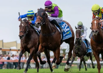 From dawn silence to betting chaos: Punters pile on in Anzac Day blowout for the bookies