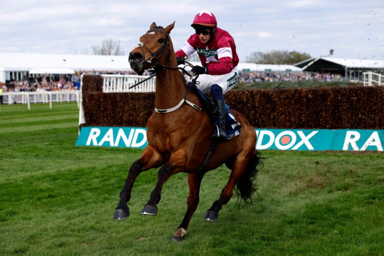 Gold Dancer suffered a broken back at the final hurdle at Aintree on Friday.