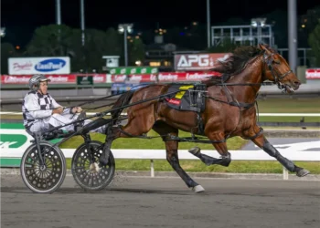 Bookie’s Weekend: PonyBet Beat Up on Punters