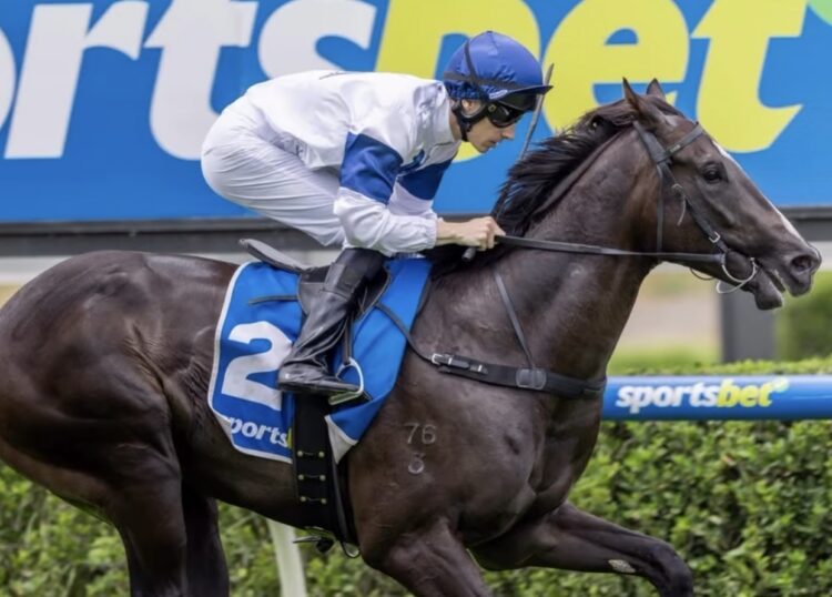 Ole Go is one of the more exciting 2yo's in Adelaide