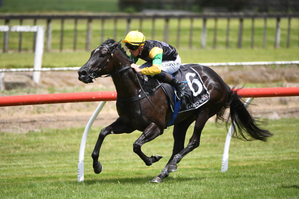 In-form NZ Trial Watcher eyes more winners at Otaki after strong Friday haul