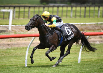 In-form NZ Trial Watcher eyes more winners at Otaki after strong Friday haul