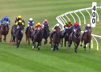 Waverley Tips: NZ Trial Watcher finds key plays across today’s card
